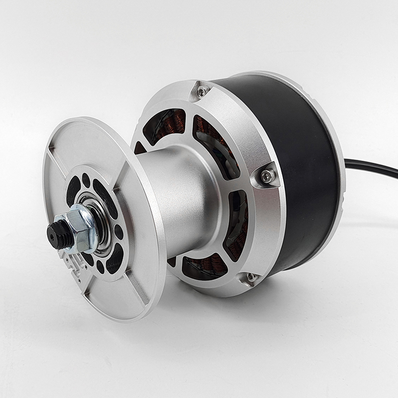 Zhongling Technology 6.5-inch fitness equipment hub motor