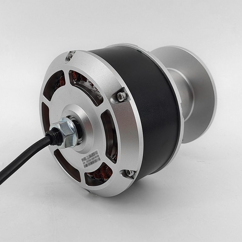 Zhongling Technology 6.5-inch fitness equipment hub motor