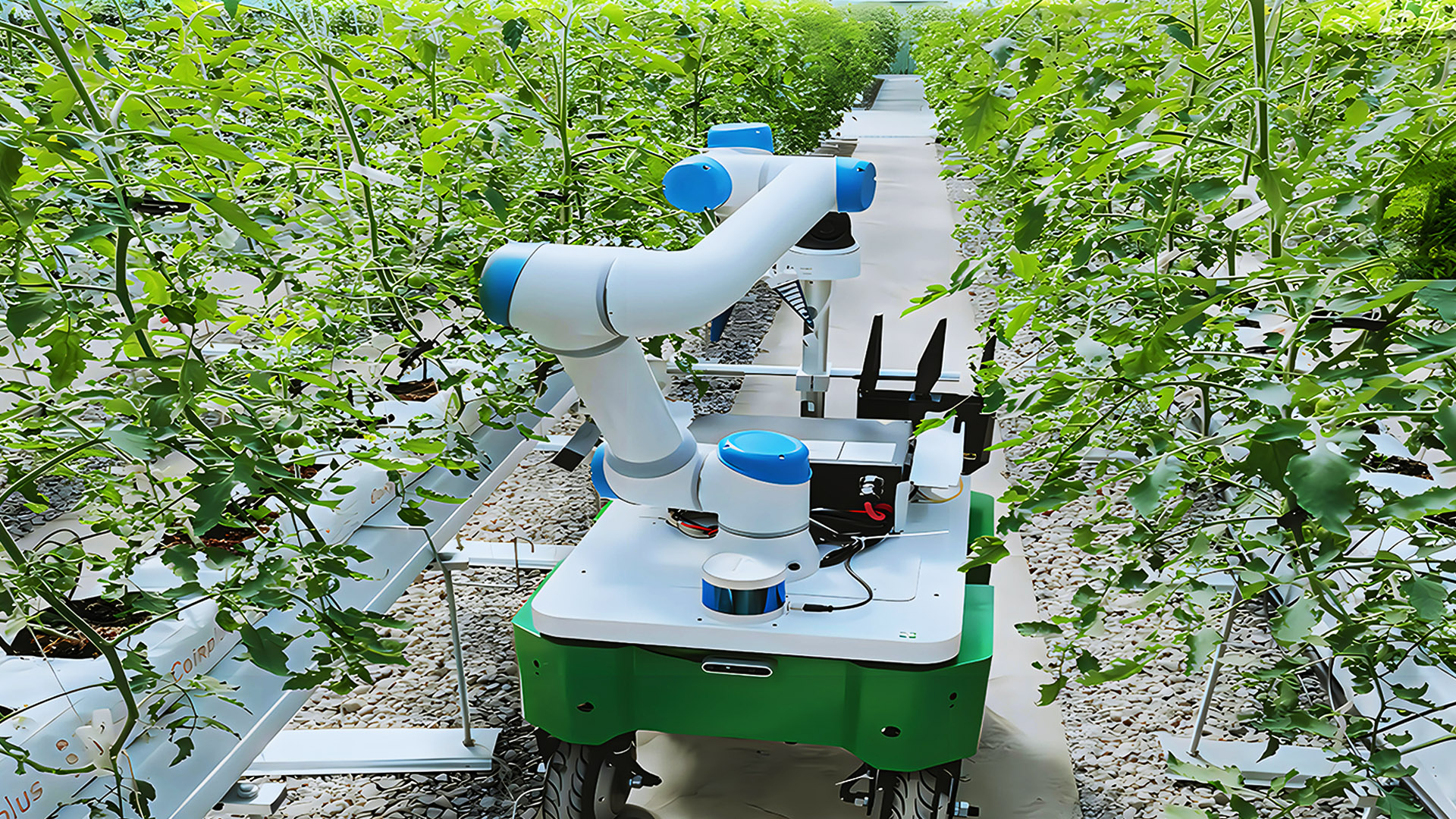 智能農業采摘機器人介紹
